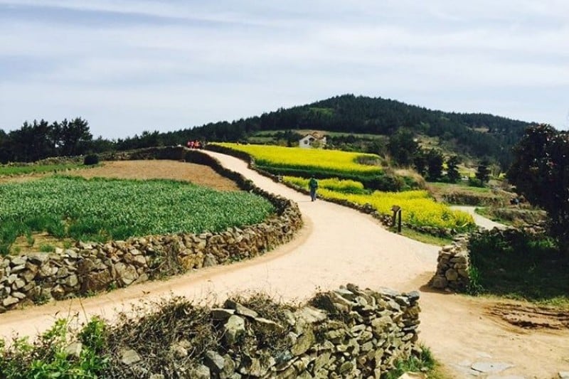 全南莞岛青山[慢城]