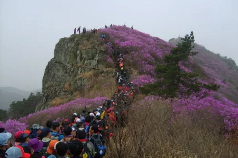 灵鹫山 (3/6)