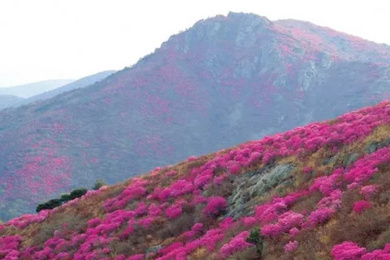 灵鹫山 (6/6)