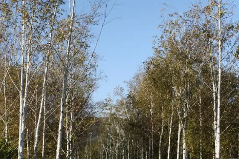 博物馆SAN 뮤지엄 산 (1/6)