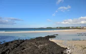 细花海水浴场