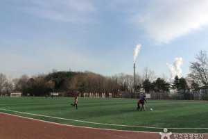 龙王山近邻公园