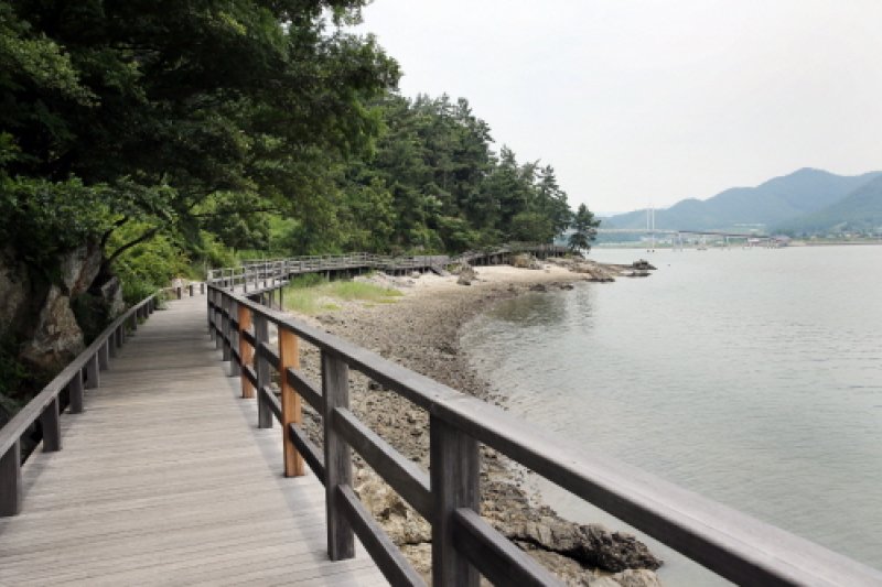 驾牛岛
