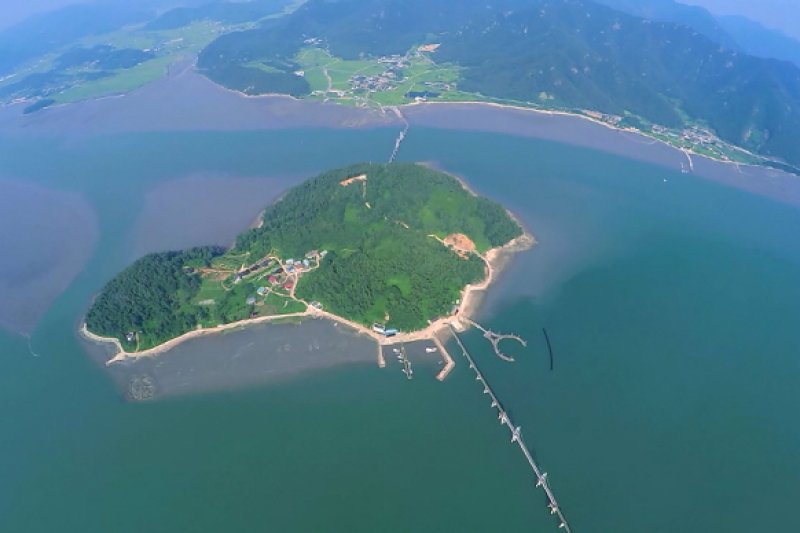 驾牛岛