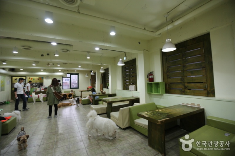 Sunny家爱犬咖啡厅 (3/5)