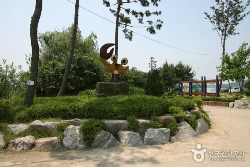 시흥 갯골생태공원 始兴河沟生态公园 (1/25)