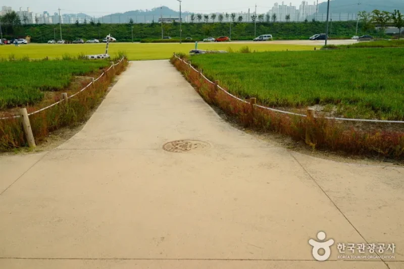 시흥 갯골생태공원 始兴河沟生态公园 (6/25)