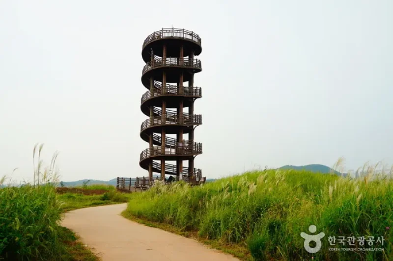 시흥 갯골생태공원 始兴河沟生态公园 (9/25)