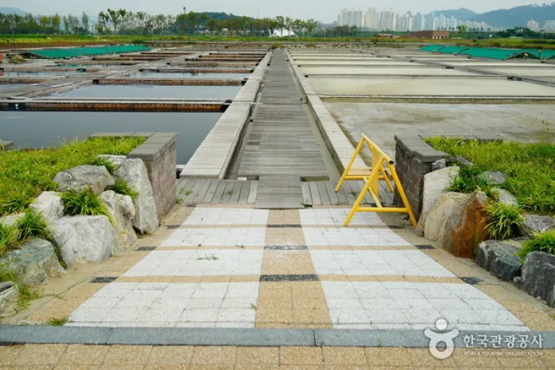 시흥 갯골생태공원 始兴河沟生态公园 (10/25)