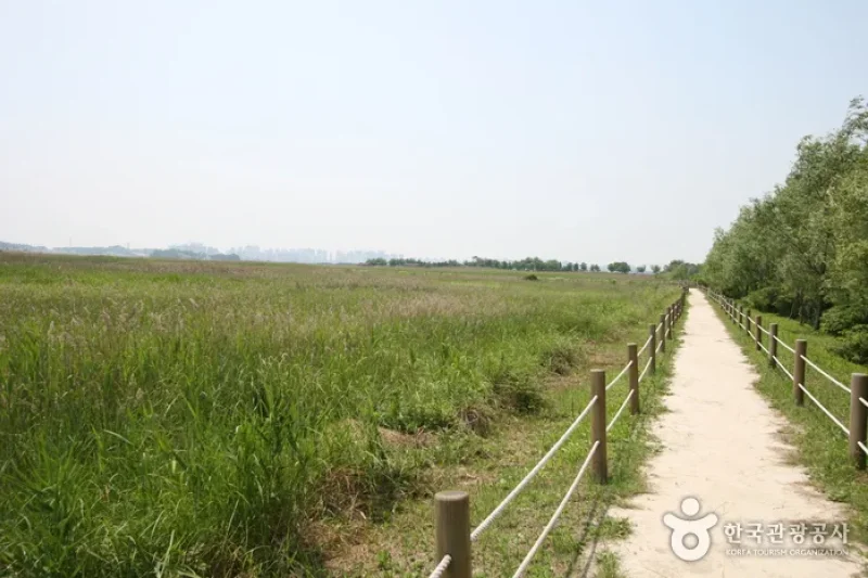 시흥 갯골생태공원 始兴河沟生态公园 (15/25)