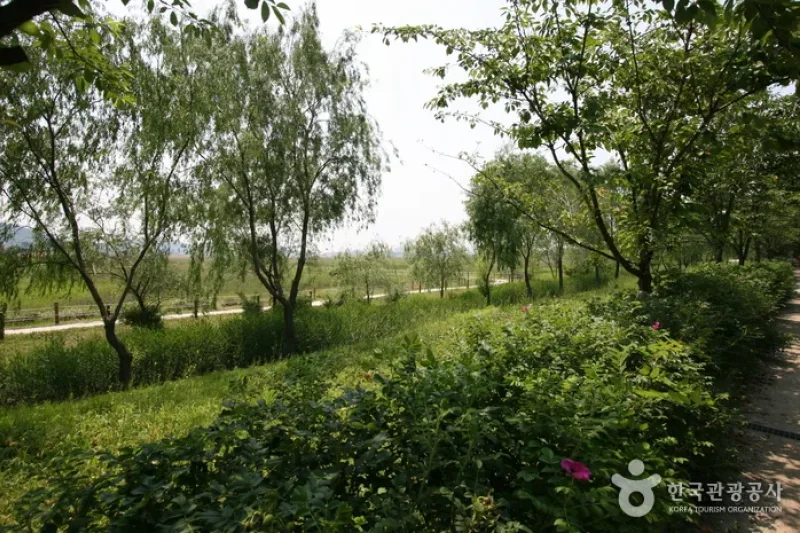 시흥 갯골생태공원 始兴河沟生态公园 (16/25)