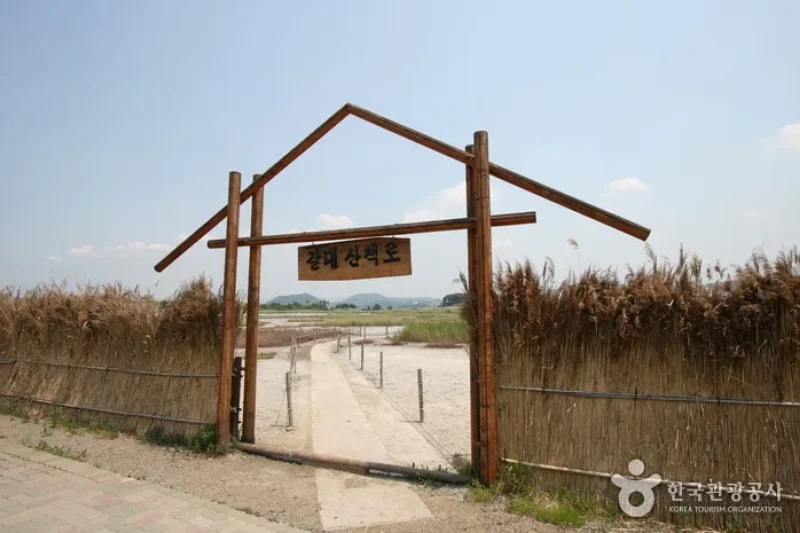 시흥 갯골생태공원 始兴河沟生态公园 (18/25)