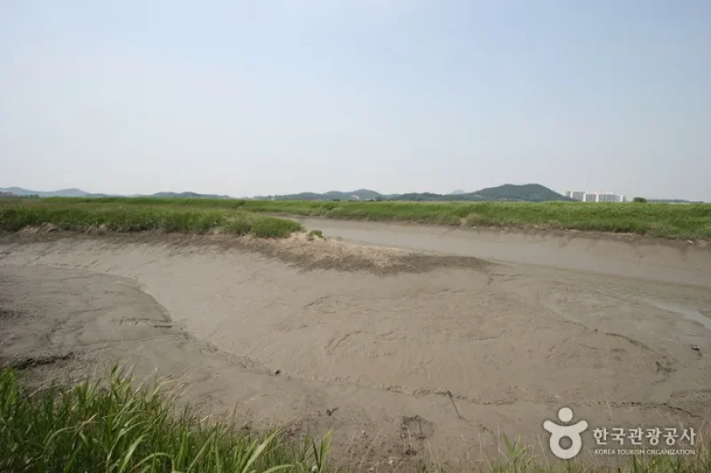 시흥 갯골생태공원 始兴河沟生态公园 (19/25)