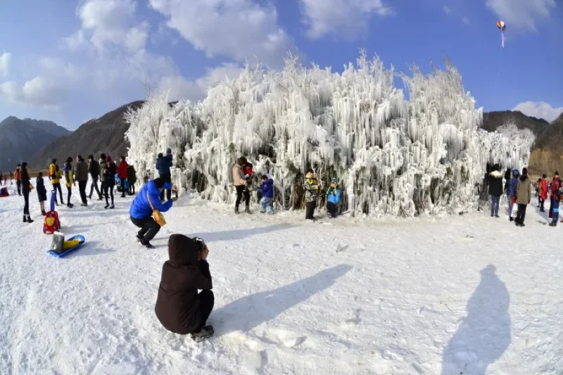 麟蹄冰鱼庆典(인제빙어축제)