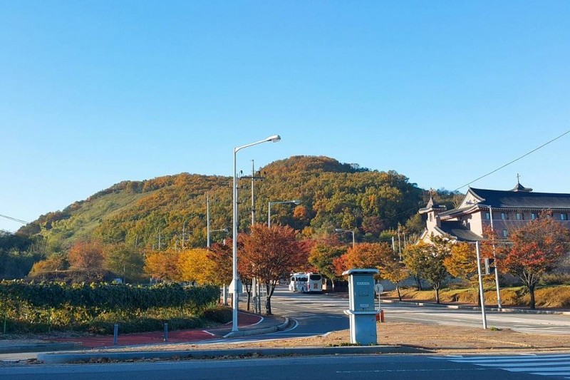 统一公园 (9/12)