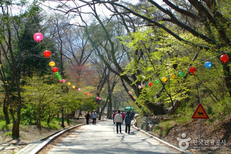 鸡龙山山神祭