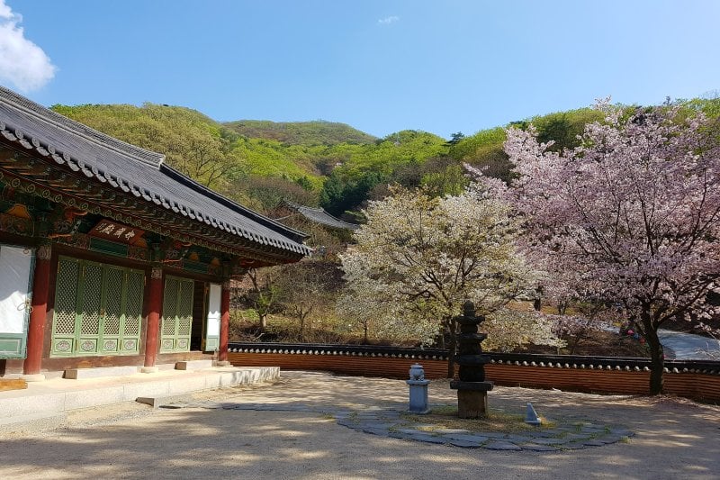 普光寺