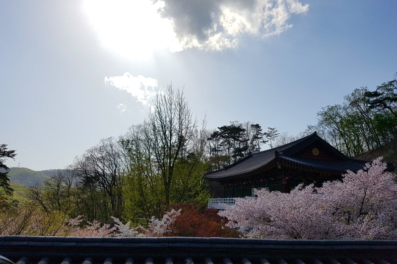 普光寺