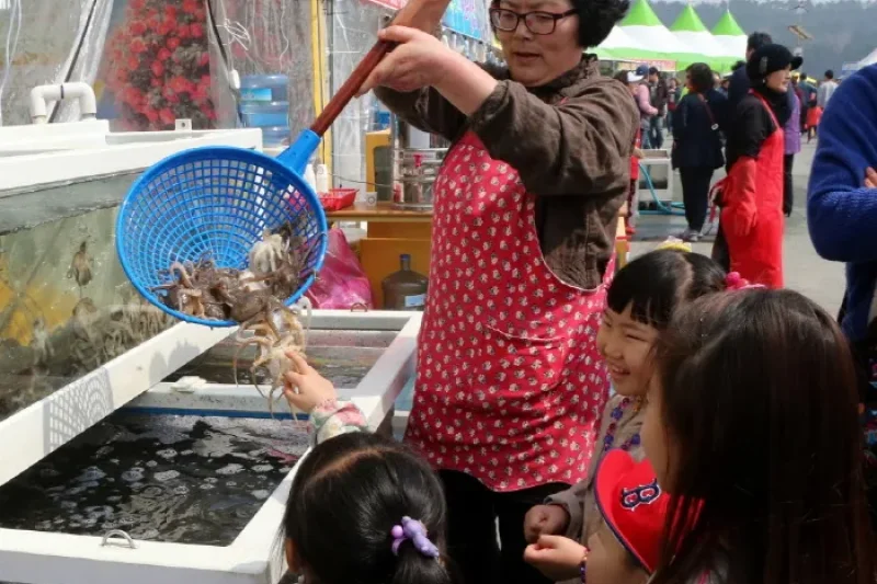 舒川山茶花短蛸庆典