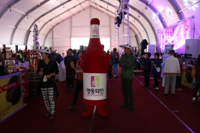 韩国葡萄酒庆典대한민국와인축제 (6/6)