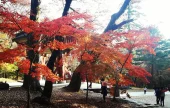 伽倻山国立公园