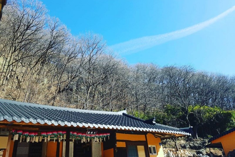 庆州骨窟庵磨崖如来坐像 (3/5)
