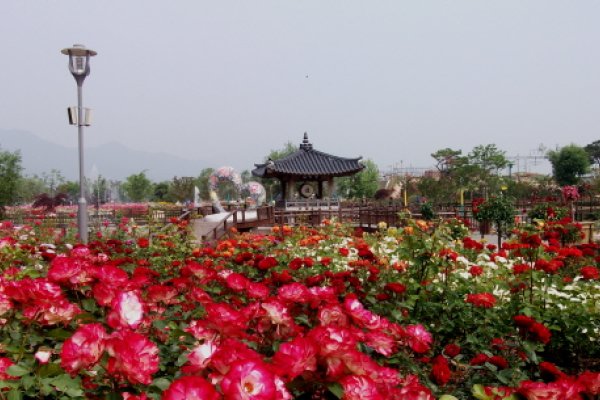 谷城世界玫瑰节