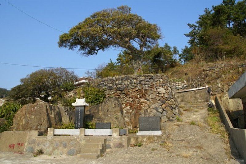 草岛