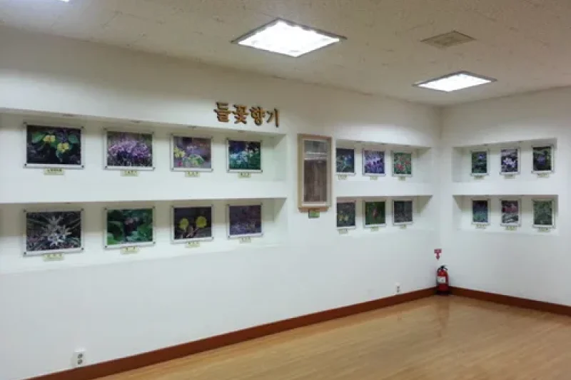 蔚山野花学习园
