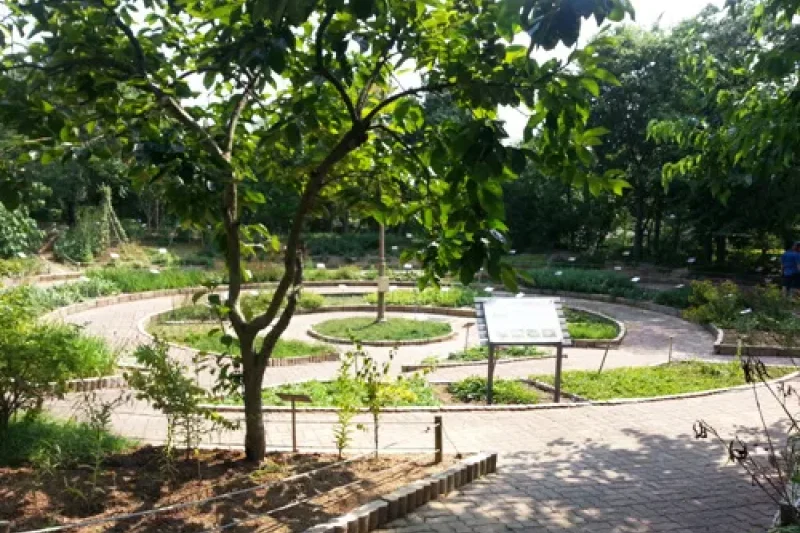 蔚山野花学习园