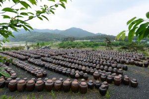 安东河回大酱村