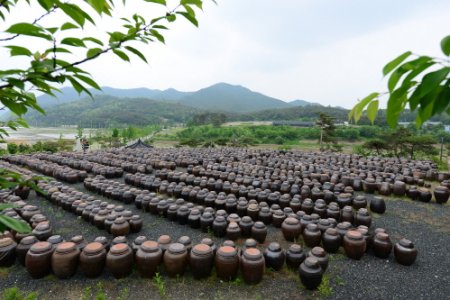 安东河回大酱村