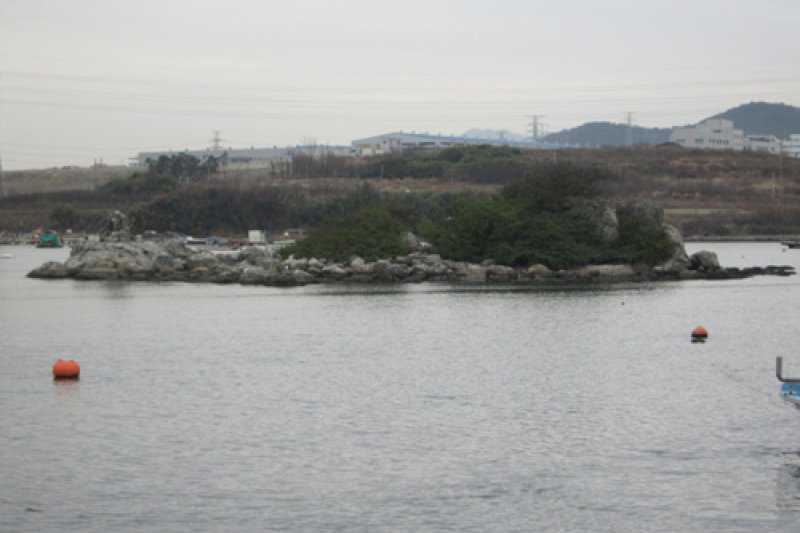 海女生鱼片(해녀횟집)