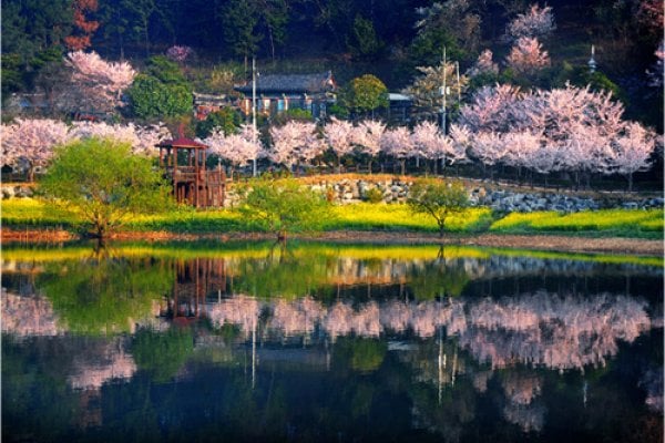 仙岩湖公园선암호수공원