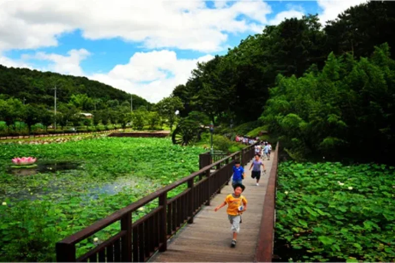 仙岩湖公园선암호수공원