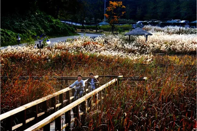 仙岩湖公园선암호수공원