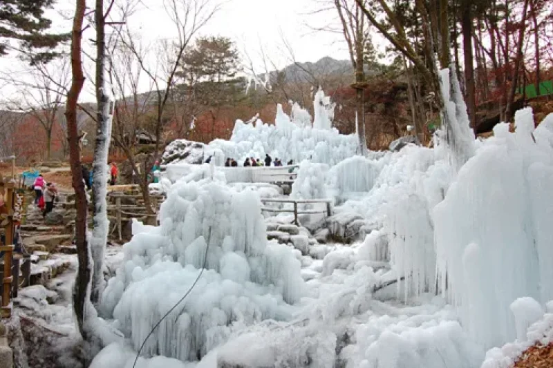 Herbhillz 雪橇場