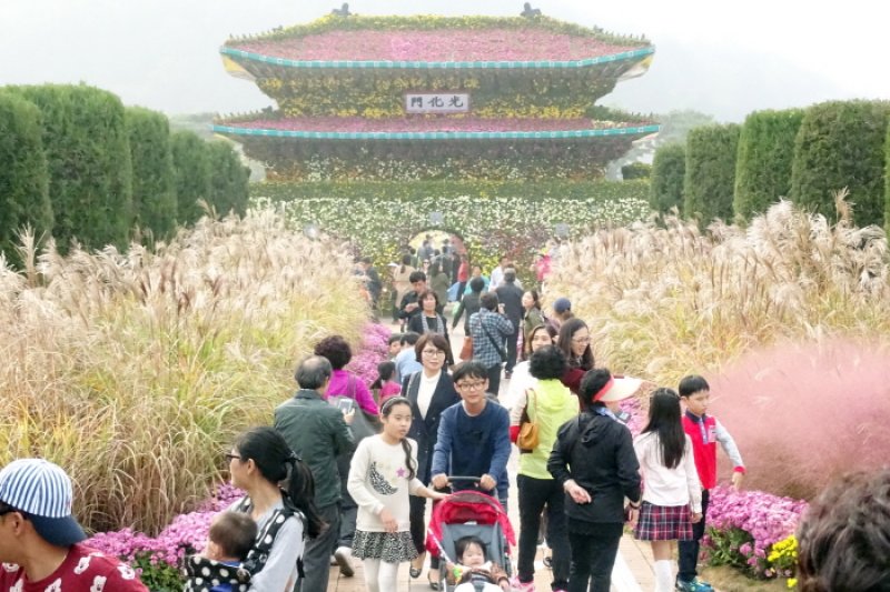 韩国菊花展览会
