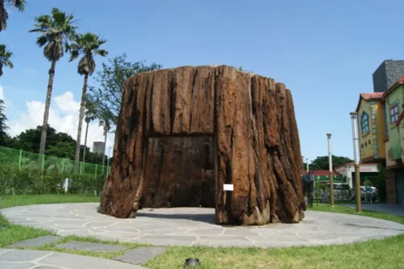 信不信由你博物馆