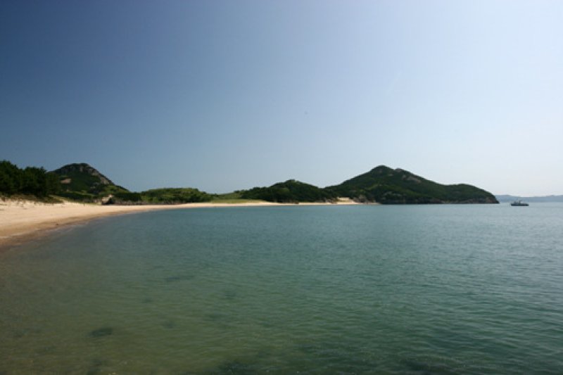 掘业岛 (1/1)