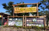 Maze Land