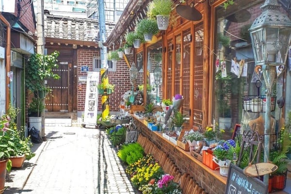 市中心的迷路寻宝之旅，寻访益善洞