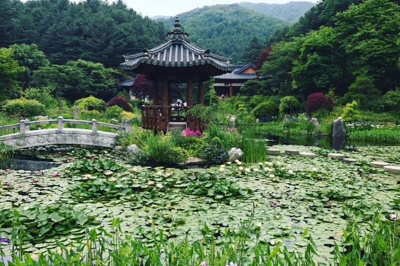 ★皇牌★南怡島一天团F