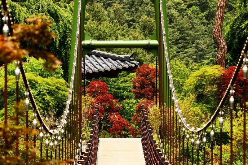 ★皇牌★南怡島一天团F
