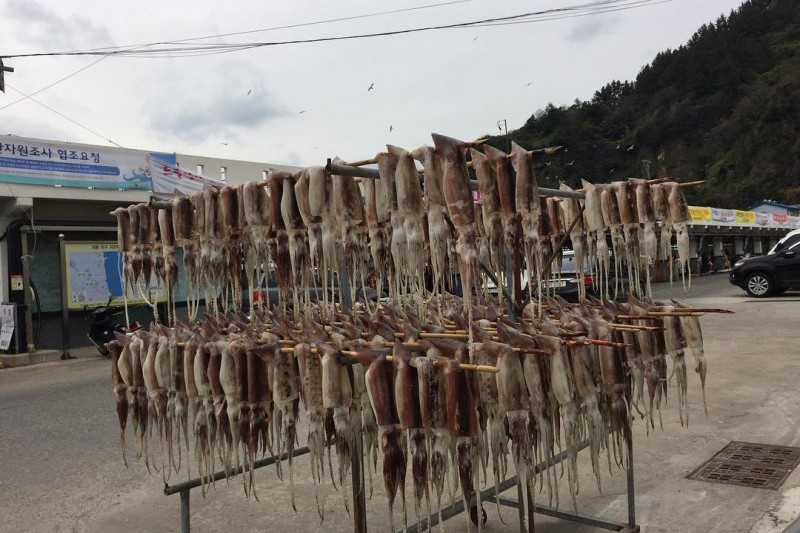 鬱陵岛魷鱼庆典