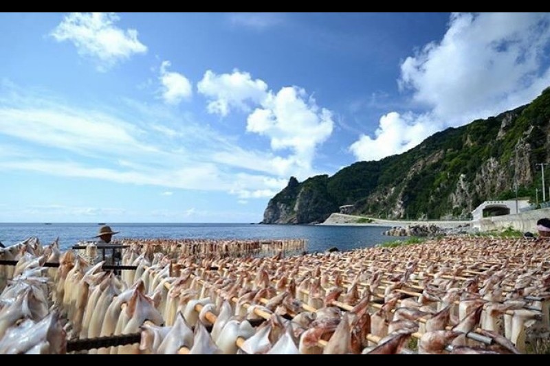 鬱陵岛魷鱼庆典