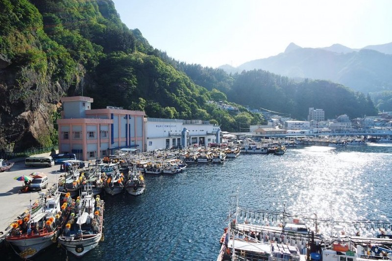 鬱陵岛魷鱼庆典