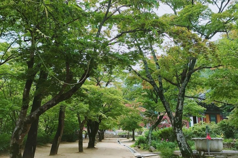 直指寺山寺体验 (2/14)