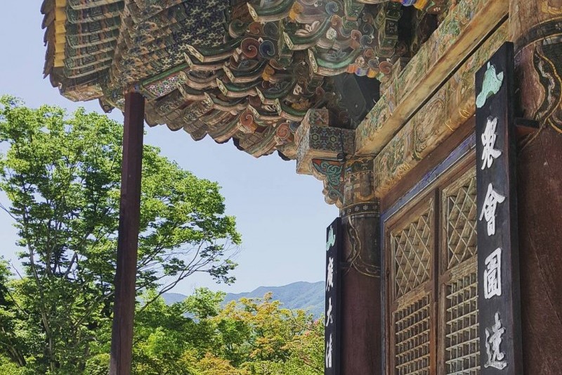 直指寺山寺体验 (5/14)