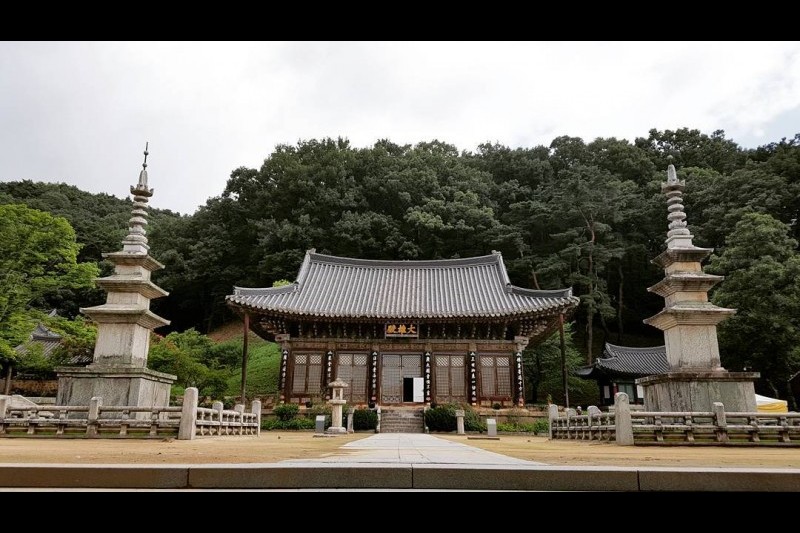 直指寺山寺体验 (7/14)